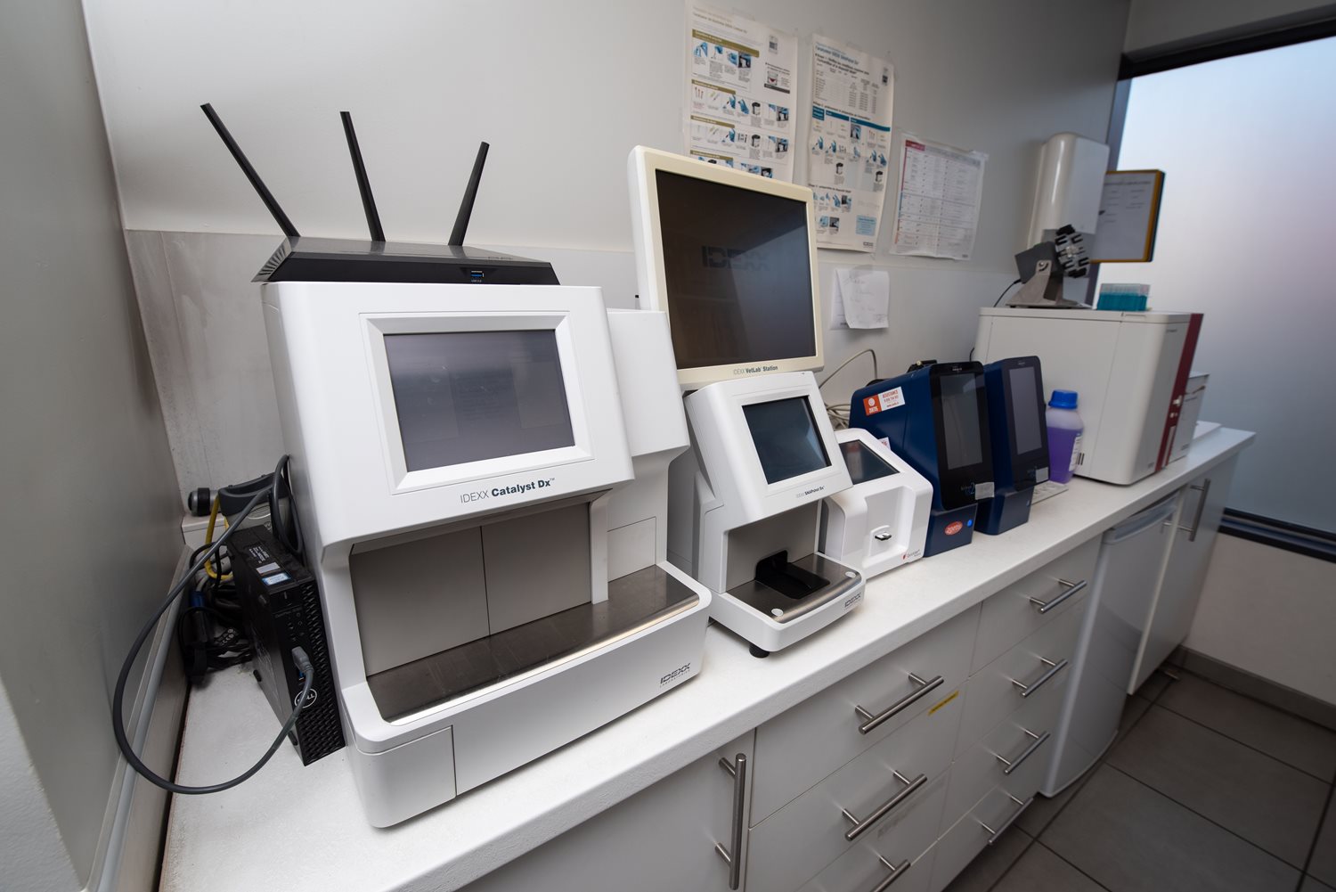 Laboratoire 1
